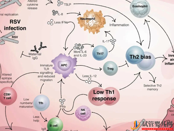 免疫系統有問題懷不上？做試管可以幫助解決(圖2)