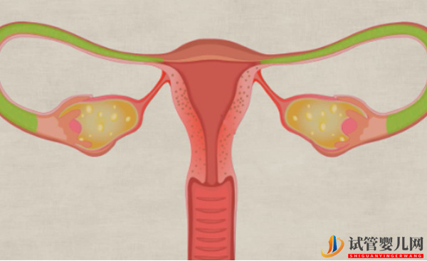兩側輸卵管都切除了還能做試管？(圖1)