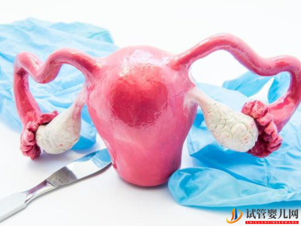 子宮肌瘤最怕這三種水果 快快吃起來(圖2)