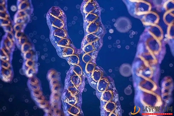 2號染色體異常的后果 - 三體、部分缺失胎兒癥狀表現整理(圖2)