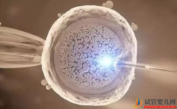 帶你了解,上海仁濟(jì)做供卵試管的流程(圖4) 帶你了解,上海仁濟(jì)做供卵試管的流程(圖4)