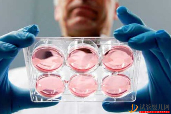 帶你了解,上海仁濟(jì)做供卵試管的流程(圖3) 帶你了解,上海仁濟(jì)做供卵試管的流程(圖3)