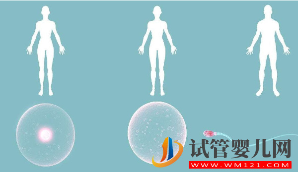 43歲高齡做試管成功真實案例分享，做好這些準(zhǔn)備并不難(圖1)