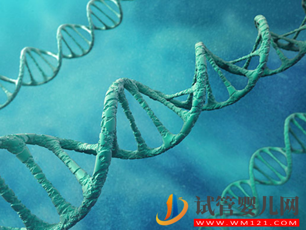 6號染色體缺失、重復相關疾病匯總，不同異常對寶寶影響不一(圖2)