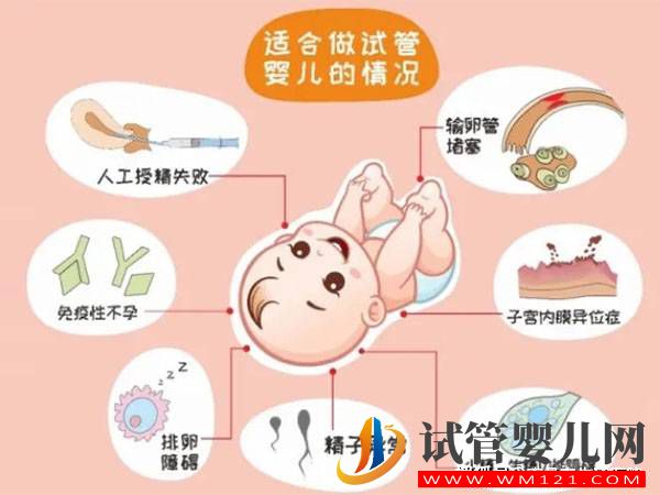 哪些人可以做試管嬰兒？試管嬰兒的適應癥有哪些？(圖1)