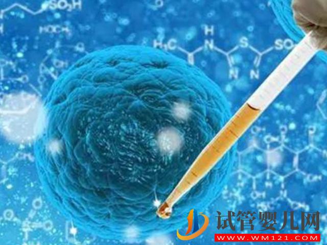 試管嬰兒中常說的t卵p懷是什么意思？(圖1)