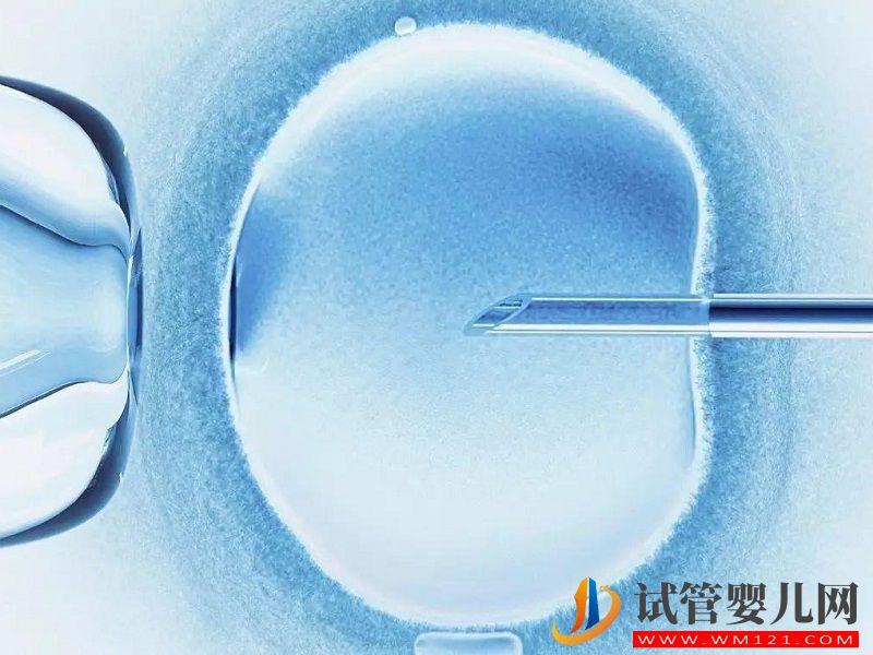 高齡女性做試管T卵P懷風險大不大？(圖1)