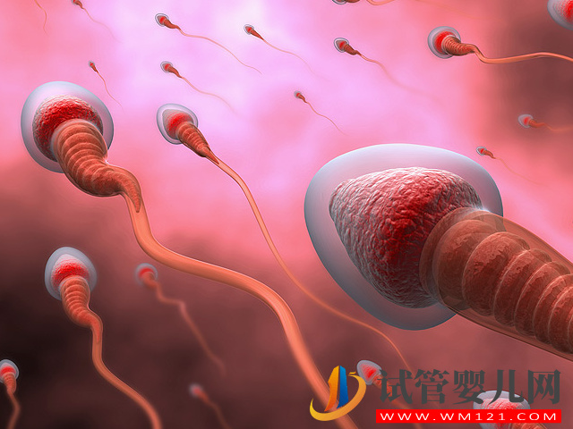 男人無精囊生小孩有望，國內該項技術可以實現孕育希望(圖2)