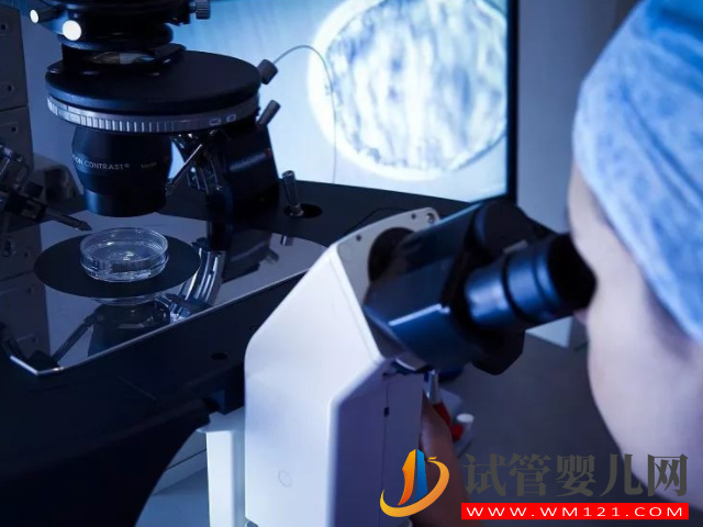 國內已婚女性凍卵前期準備須知，不滿足條件就不要想了(圖3)