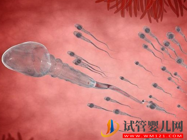 男性不育癥精子dna碎片檢測費用明細，不同醫院收費標準不等(圖2)