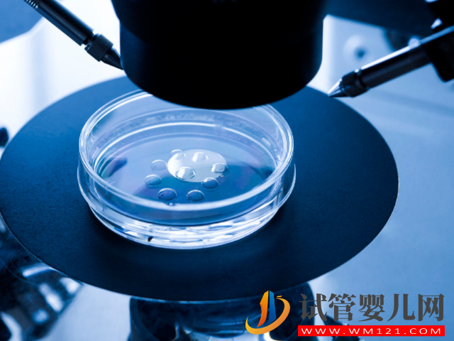 30歲以下卵巢早衰不可怕,三個(gè)科學(xué)方法讓你生育不是夢(圖3) 30歲以下卵巢早衰不可怕,三個(gè)科學(xué)方法讓你生育不是夢(圖3)