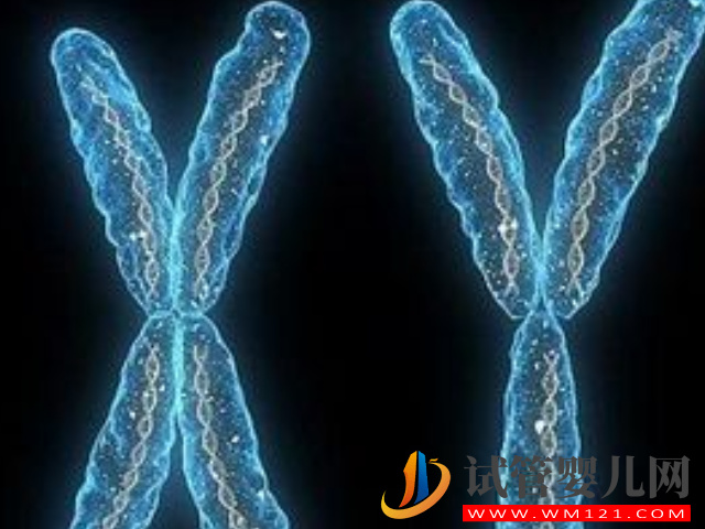 懷孕看男女方法五花八門，過來人告訴你什么才是最準確的(圖5)