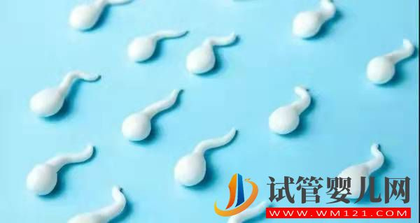 關于男性少精弱精那些事(圖2)
