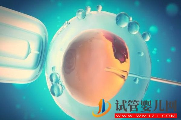 試管嬰兒一般取多少顆卵最好 做試管嬰兒取多少個卵最好(圖1)