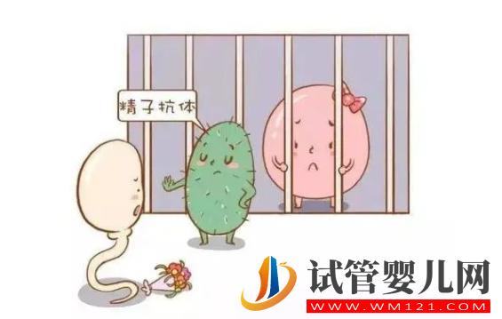 抗精子抗體怎么檢查，可以懷孕嗎？(圖1)