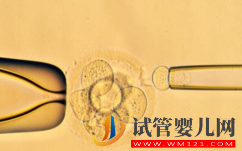 試管移植囊胚失敗能用凍胚嗎(圖1)