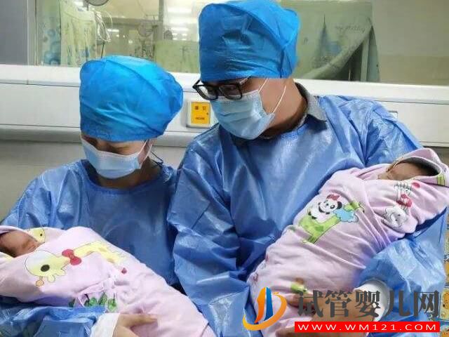 龍鳳胎基因主要是由男方決定還是女方決定？(圖1)