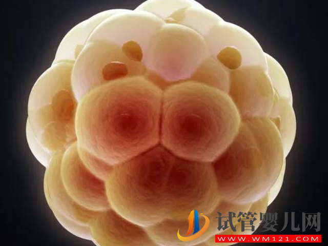 30歲女性每月基礎(chǔ)卵泡正常范圍，超過是多囊低于是卵衰(圖1)