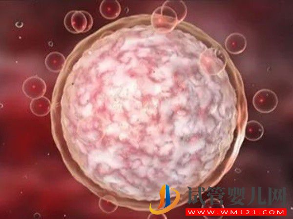 借用別人的卵泡在私立醫院做試管嬰兒費用多少？(圖1)