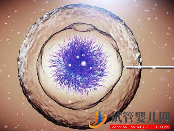 國內(nèi)有能做第四代試管嬰兒的三甲醫(yī)院嗎？費(fèi)用總共多少？(圖1)