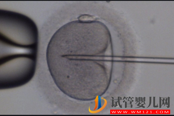 別以為做美國第四代試管嬰兒就能提高妊娠率(圖2)