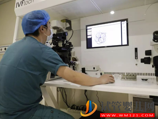 別以為做美國第四代試管嬰兒就能提高妊娠率(圖3)