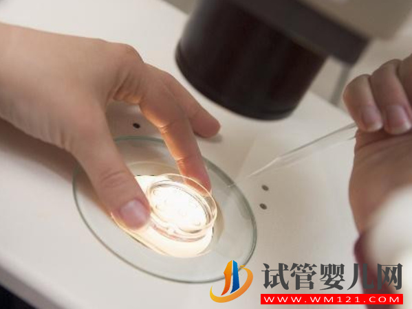 大齡女性生育有望，據透露第四代試管能提高30%妊娠率(圖1)