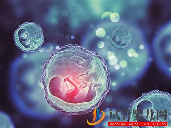 為什么大齡女性做供卵試管的成功率會更高?(圖1) 為什么大齡女性做供卵試管的成功率會更高?(圖1)