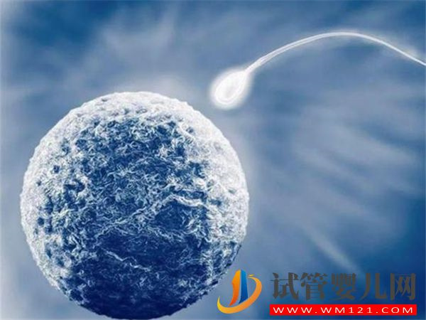 做供卵試管嬰兒有很多不成功的案例是真的嗎？(圖1)