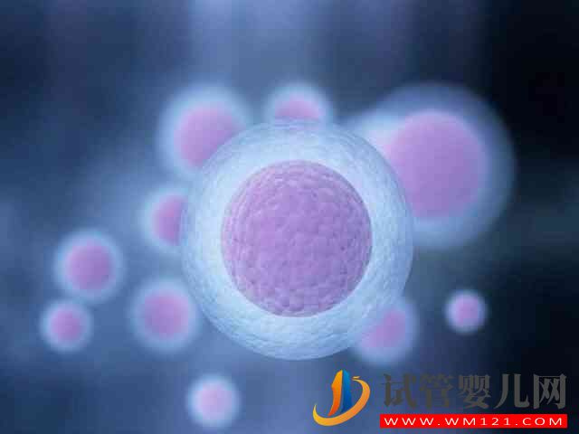 烏海女人49歲申請供卵試管移植自懷成功率有多高？(圖1)