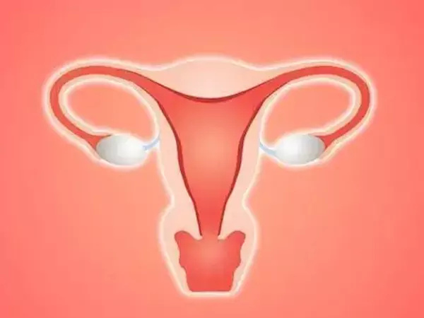 這6種食物一定要了解，促進先天性始基子宮重新發育有希望！(圖2)