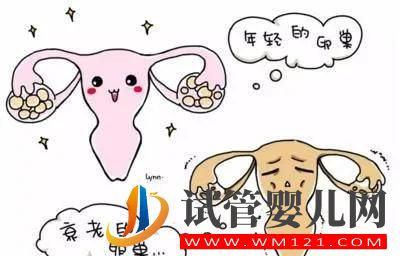 什么是卵巢早衰？哪些是卵巢早衰高危人群？(圖1)