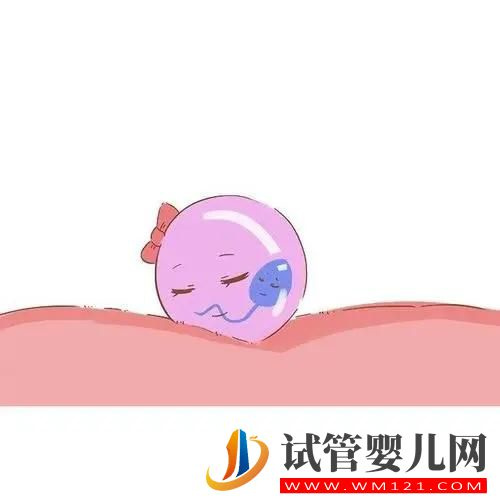 有月經就一定會有卵子嗎？(圖1)