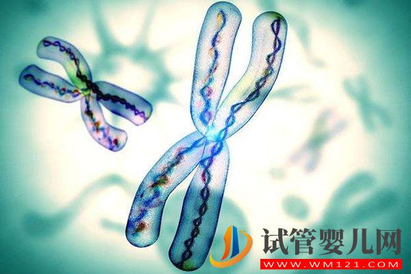 染色體平衡易位攜帶者可做試管嬰兒嗎?(圖1)