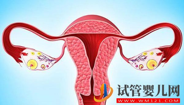 輸卵管堵塞做試管嬰兒的話可以懷孕嗎？(圖1)