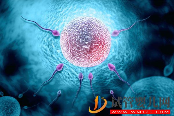 女性卵巢囊腫做試管嬰兒成功率有60%嗎?(圖1)