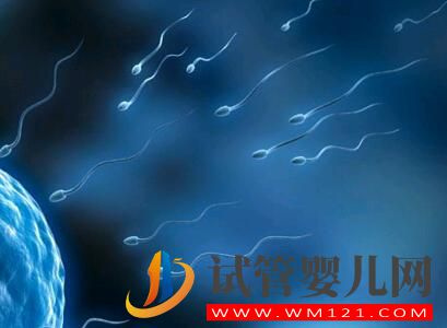 死精子癥是能做試管嬰兒的嗎?(圖1)