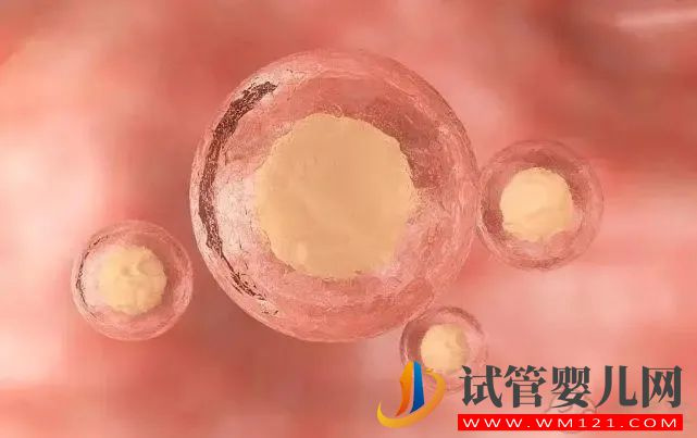 林芝試管嬰兒容易成功的人，往往都處在這個年齡段(圖2)