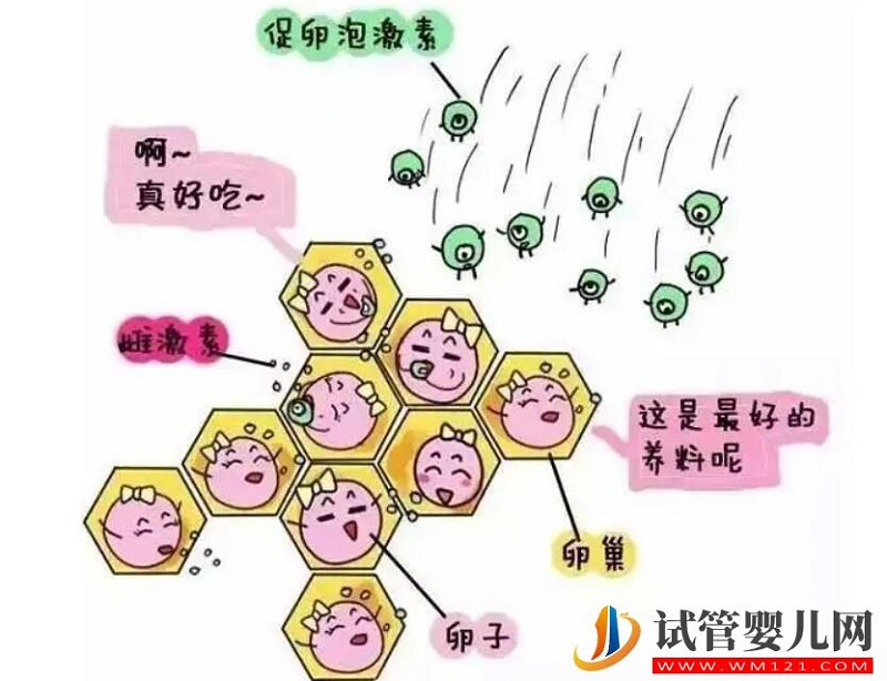 試管嬰兒全程無痛技術解救怕痛的你(圖1)