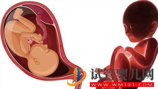 胚胎質(zhì)量很好，為啥做試管嬰兒胚胎不著床？(圖1)