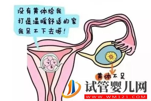 胚胎質(zhì)量很好，為啥做試管嬰兒胚胎不著床？(圖2)