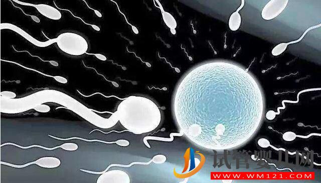 人工授精和試管嬰兒詳細(xì)介紹及對比？(圖2)