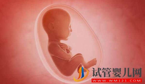 人工授精和試管嬰兒詳細(xì)介紹及對比？(圖5)