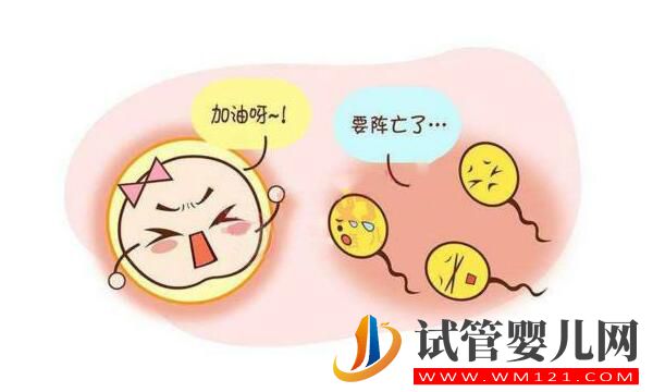 日喀則試管嬰兒移植后反應有哪些？(圖1)