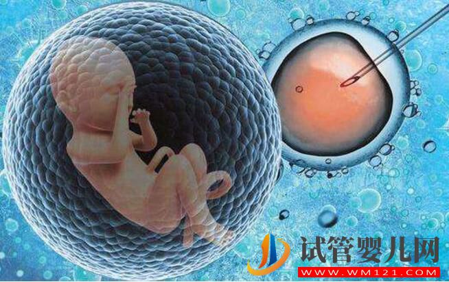 試管嬰兒的這些誤解你有沒有聽說過？(圖1)