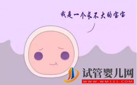 卵泡不長能做試管嗎?(圖1) 卵泡不長能做試管嗎?(圖1)