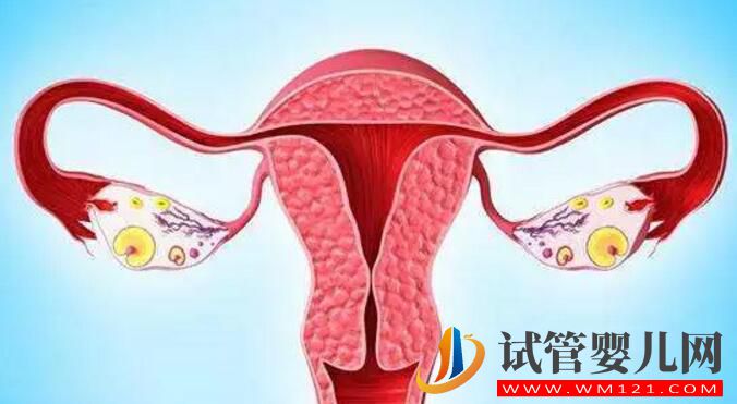 卵巢功能不好能做試管?嬰兒嗎？(圖1)