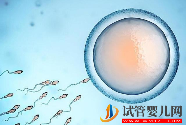 為什么試管促排很好，胚胎卻很少(圖1)