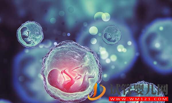 fsh值35偏高能否做試管嬰兒，做好這三點很重要，你也來試試！(圖2)