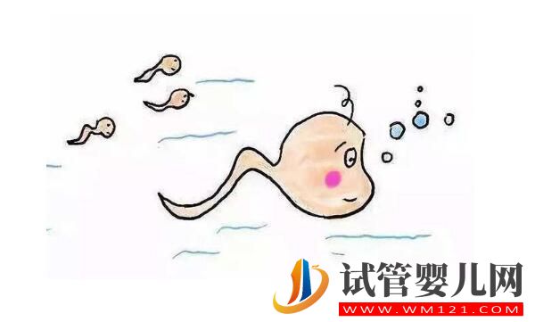 試管嬰兒的出發點和原理是什么？想要了解的進來看看了(圖1)